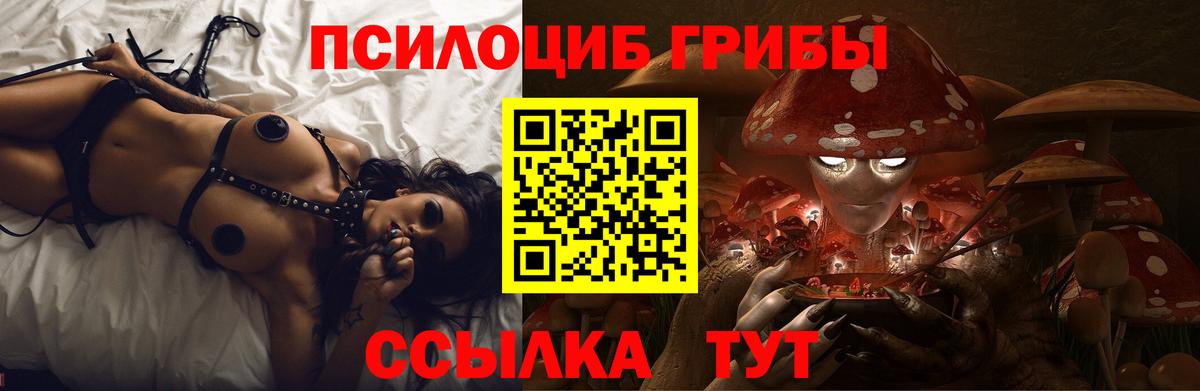 купить закладку  Псилоцибиновые грибы Psilocybine cubensis  Вход с VPN  Липецк 